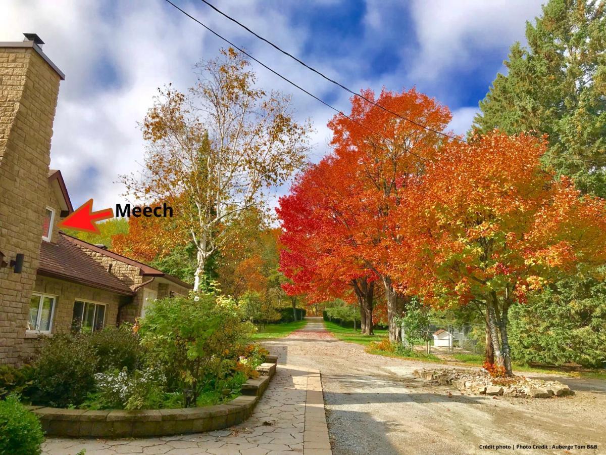 Auberge Tom B&B Chelsea Dış mekan fotoğraf