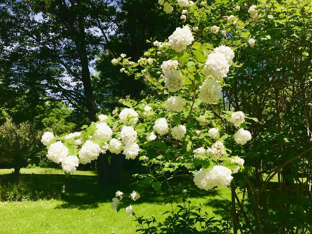 Auberge Tom B&B Chelsea Dış mekan fotoğraf
